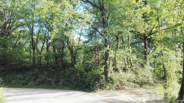 Rif. 34CS – Tagliacozzo, terreno agricolo 7.800 mq – ottima esposizione – Sorbo, località “Girone”